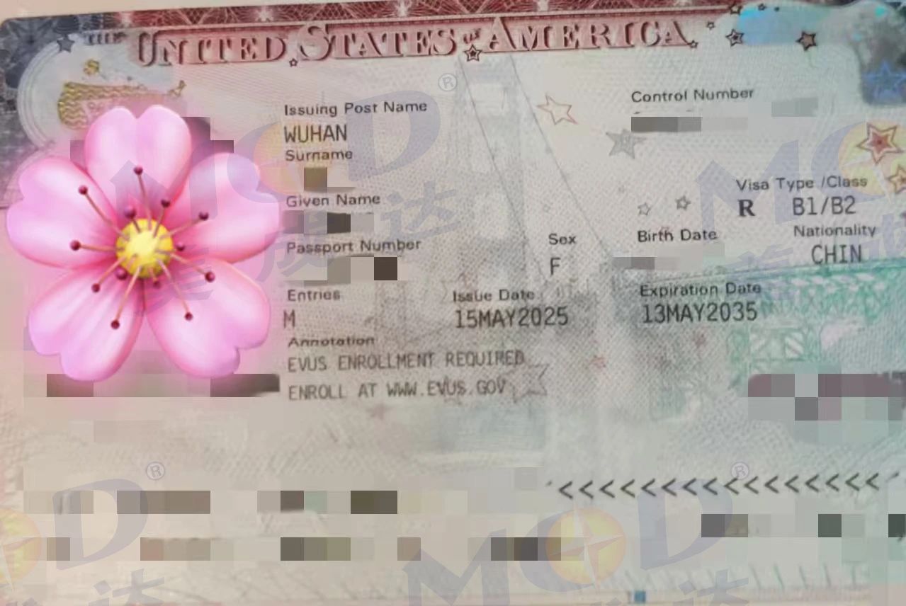 1752566976305066.jpg
